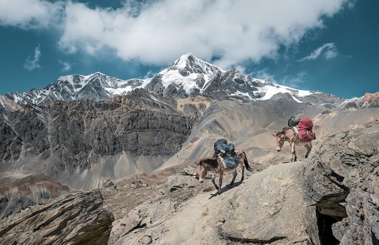 Budget-Friendly Travel Tips for Adventurous Souls